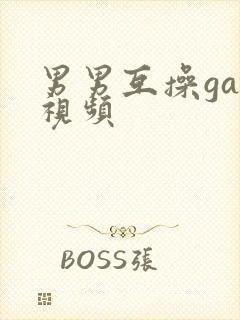 男男互操gay视频