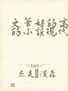 文笔好的高质量的小说现代言情推荐封面