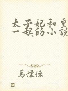 太子妃和皇上在一起的小说封面