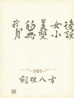 我的美女后宫风月无双小说在线阅读封面