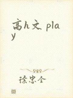 高h文 play