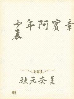 少年阿宾章节列表