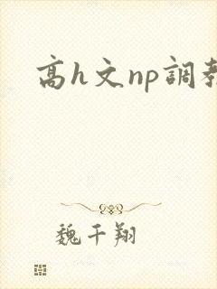 高h文np调教
