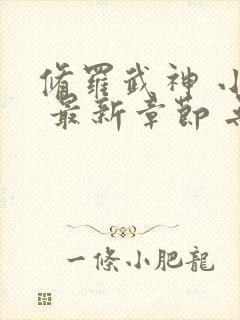 修罗武神 小说 最新章节 无弹窗