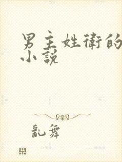 男主姓卫的古言小说