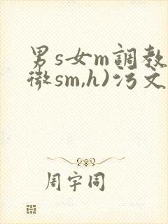 男s女m调教(微sm,h)污文