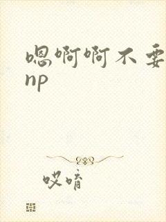 嗯啊啊不要高hnp