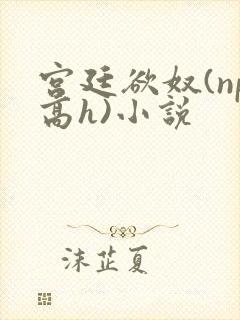 宫廷欲奴(np高h)小说