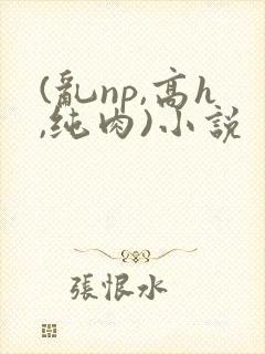 (乱np,高h,纯肉)小说