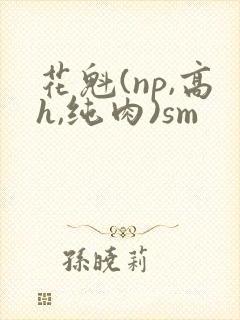 花魁(np,高h,纯肉)sm