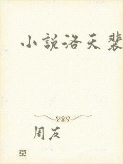 小说洛天裴容封面