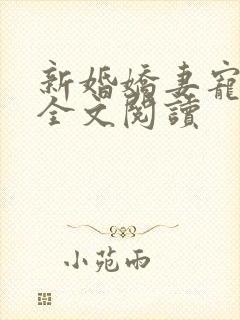 新婚娇妻宠上瘾全文阅读