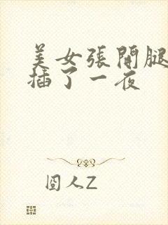 美女张开腿让我插了一夜封面