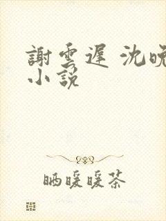 谢云迟 沈晚梨小说