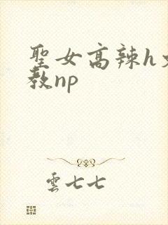 圣女高辣h文调教np