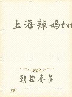 上海辣妈txt