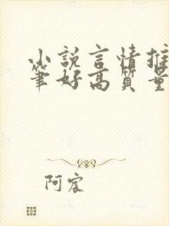 小说言情推荐文笔好高质量