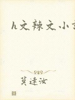 h文辣文小说网