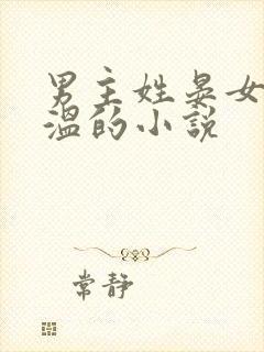 男主姓晏女主姓温的小说