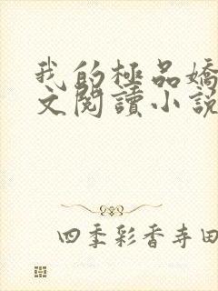 我的极品娇妻全文阅读小说