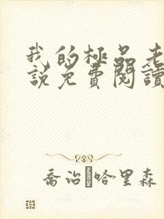 我的极品老婆小说免费阅读全文