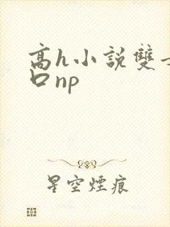 高h小说双女重口np