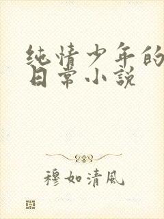 纯情少年的雌堕日常小说