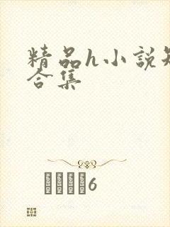 精品h小说短篇合集