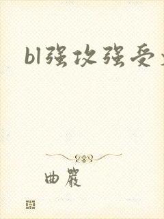 bl强攻强受文
