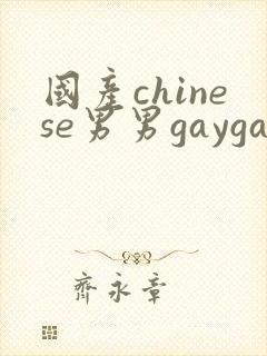 国产chinese男男gaygay1069封面