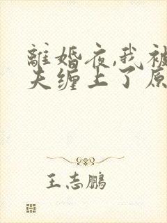 离婚夜,我被前夫缠上了原著小说