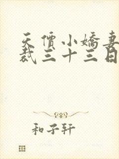 天价小娇妻 总裁三十三日索情