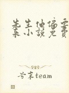 先生他偏要偷着来小说免费阅读封面