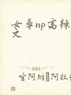 女尊np高辣h文封面