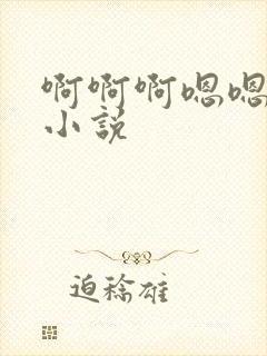 啊啊啊嗯嗯嗯h小说