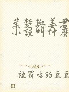 叶楚与姜君瑶的小说叫什么封面