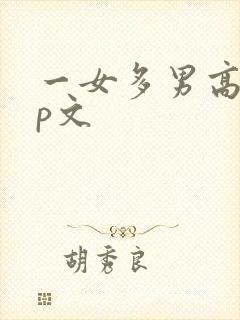 一女多男高hnp文封面