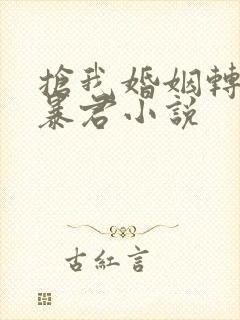抢我婚姻转身嫁暴君小说