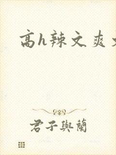 高h辣文爽文