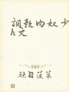 调教肉奴少司缘h文