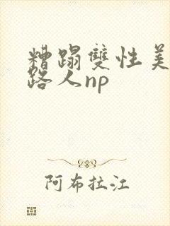 糟蹋双性美人多路人np