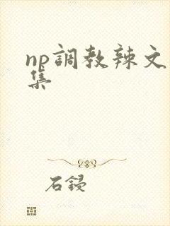 np调教辣文合集