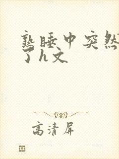 熟睡中突然被进了h文