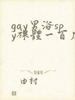 gay男浴spy裸体一百度