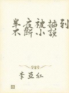 半夜被插到高潮不断小说