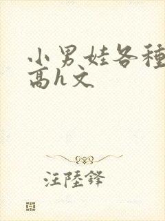 小男娃各种做肉高h文