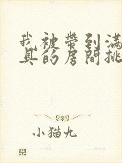 我被带到满是玩具的房间挑调作文封面