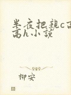 半夜把亲c高潮高h小说封面