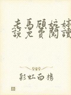 老马顾婉婷的小说免费阅读全文