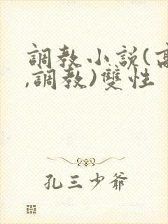 调教小说(高h,调教)双性